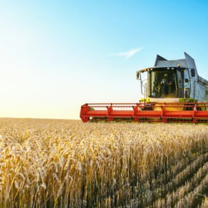 Combine,Harvester,Harvests,Ripe,Wheat.,Agriculture